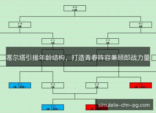 塞尔塔引援年龄结构，打造青春阵容兼顾即战力量